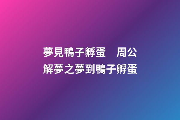 夢見鴨子孵蛋　周公解夢之夢到鴨子孵蛋
